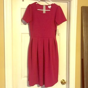 NWT Lularoe Solid Pink Amelia Dress